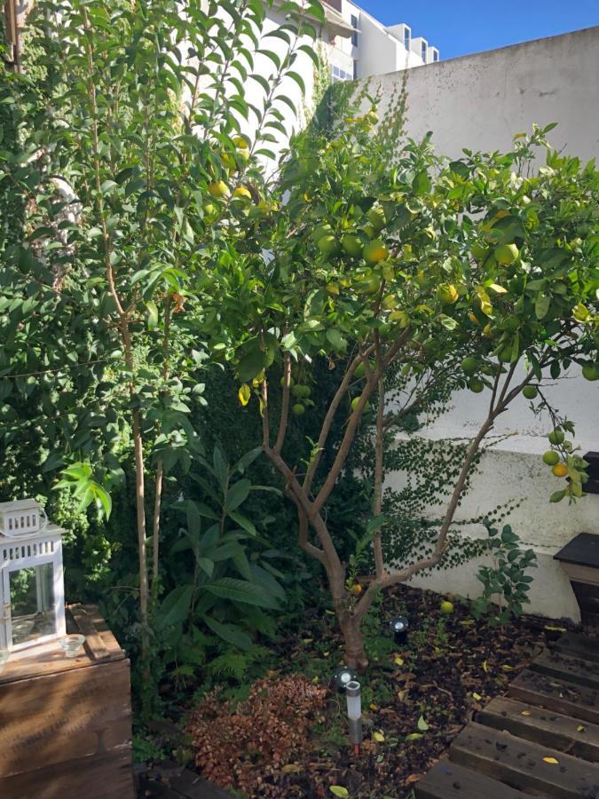 Garden Apartment Lisboa Exteriör bild